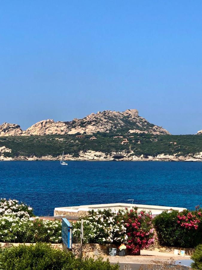 Appartamento Incantevole Con Vista Mare Buoncammino ภายนอก รูปภาพ